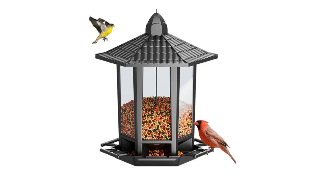 Birdscapes Hanging Bird Feeder review