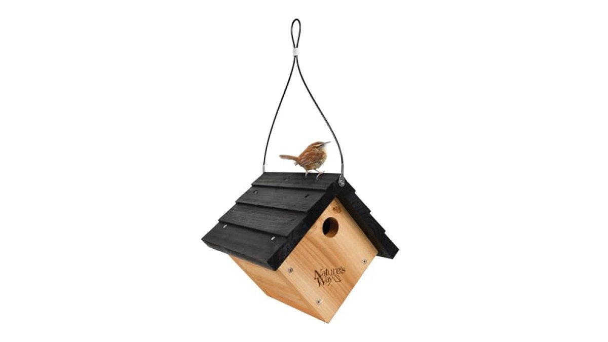 Cedar Birdhouse by Birds Choice review