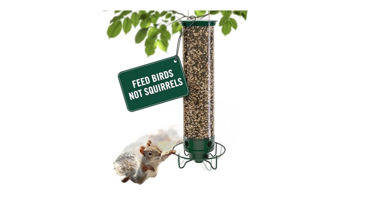 Droll Yankees Classic Bird Feeder review