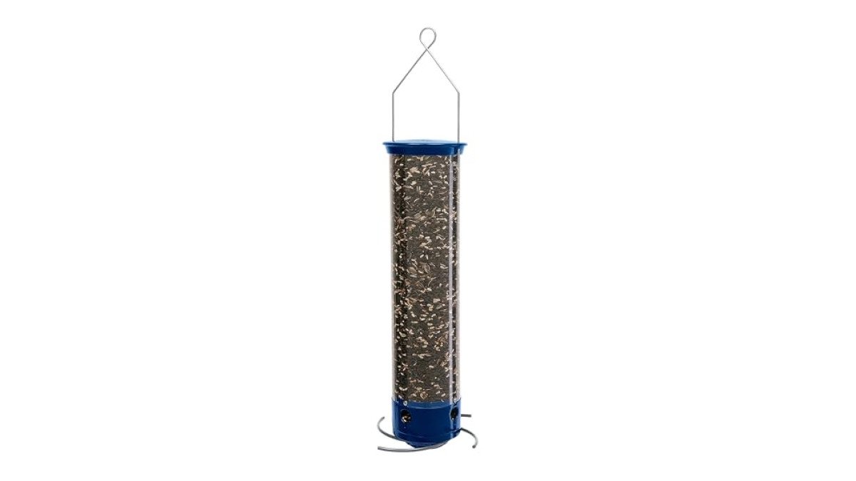 Droll Yankees PureSquirrel Bird Bath review