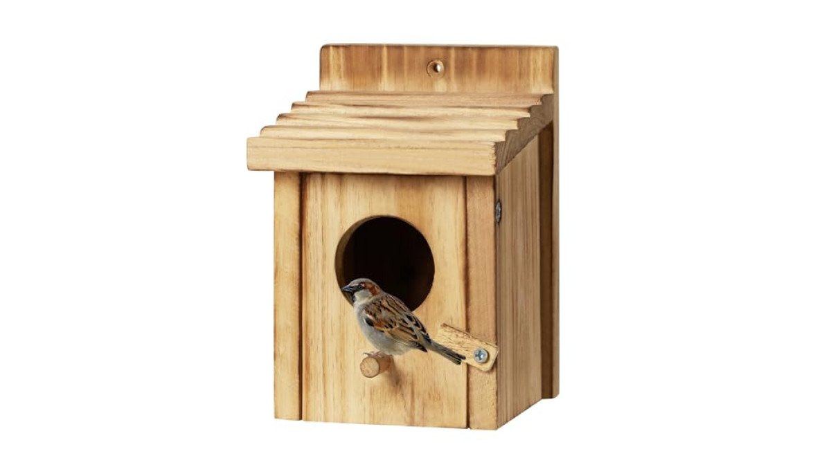 Flora by Design birdhouse review