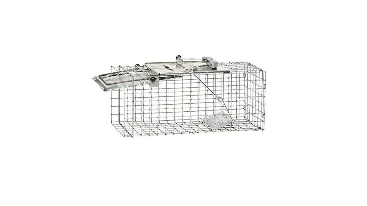 Havahart 1083 Animal Trap review