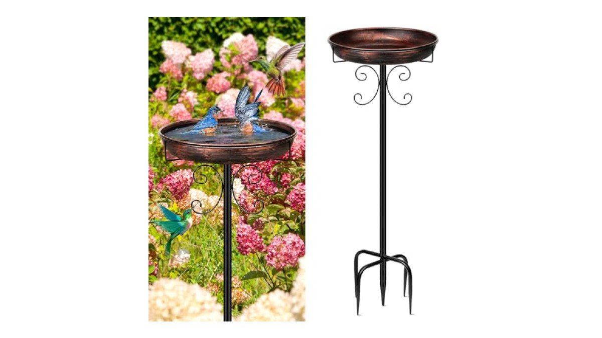 Moultrie Bird Bath review