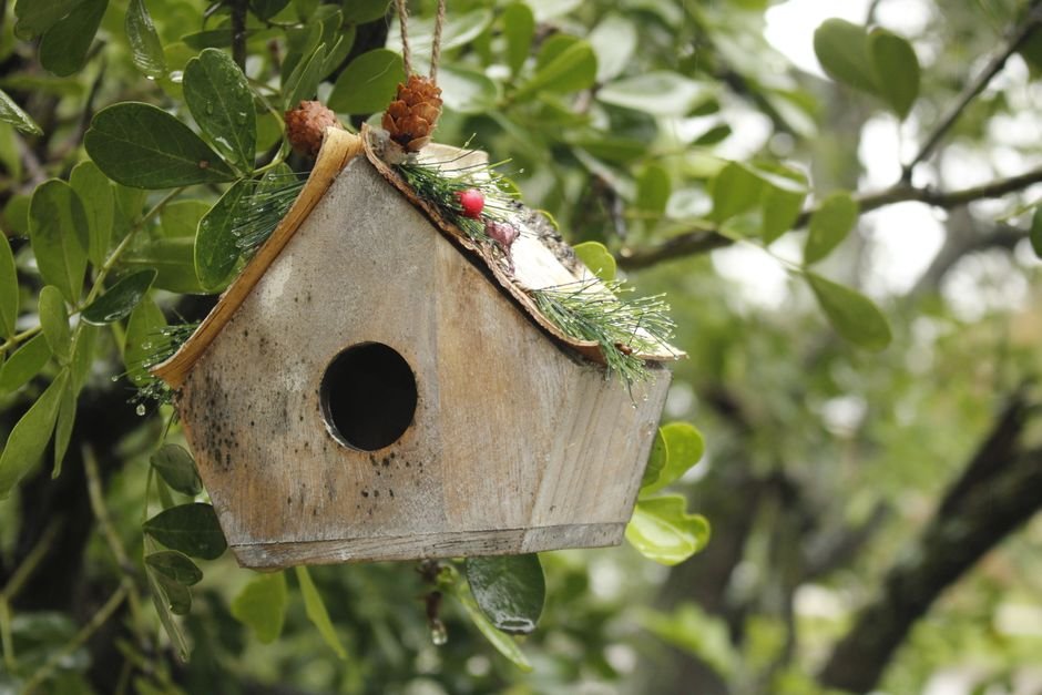 top 5 birdhouses for winter